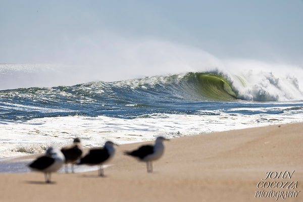 Barrels Down the Beach