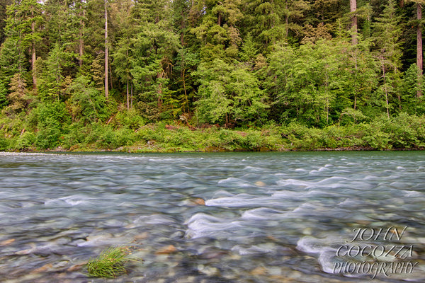 jedidiah smith state park photos and metal prints for sale to decorate offices and homes