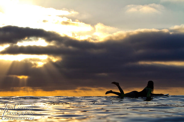 cardiff reef photos and metal prints for sale in san diego as metal prints for sale