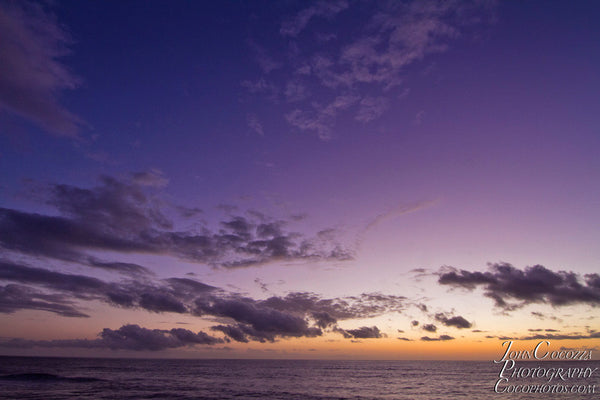 sunset cliffs photos and metal prints for sale in ocean beach as artwork for homes and offices