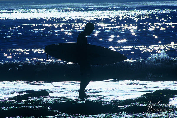 la jolla surfing photos and metal prints for sale in san diego as artwork for homes and offices
