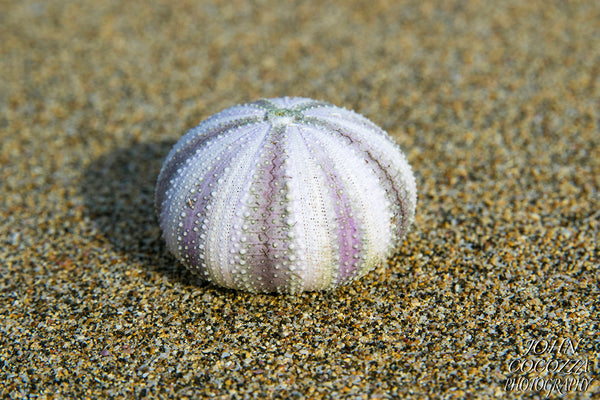 indonesian beach photography and prints for sale to decorate your home and office decor