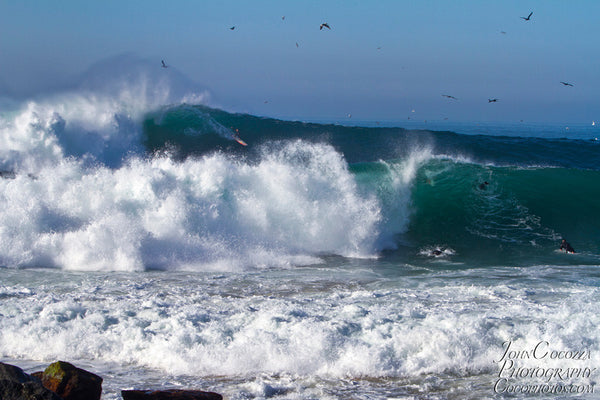 the wedge newport beach photos and metal prints for sale as artwork for home and offices