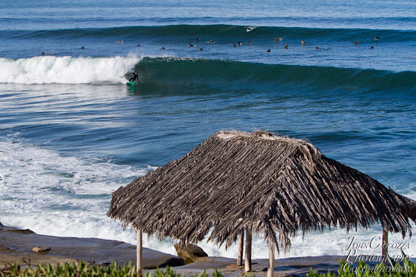 windansea beach photos and metal prints for sale in la jolla san diego as home and office art